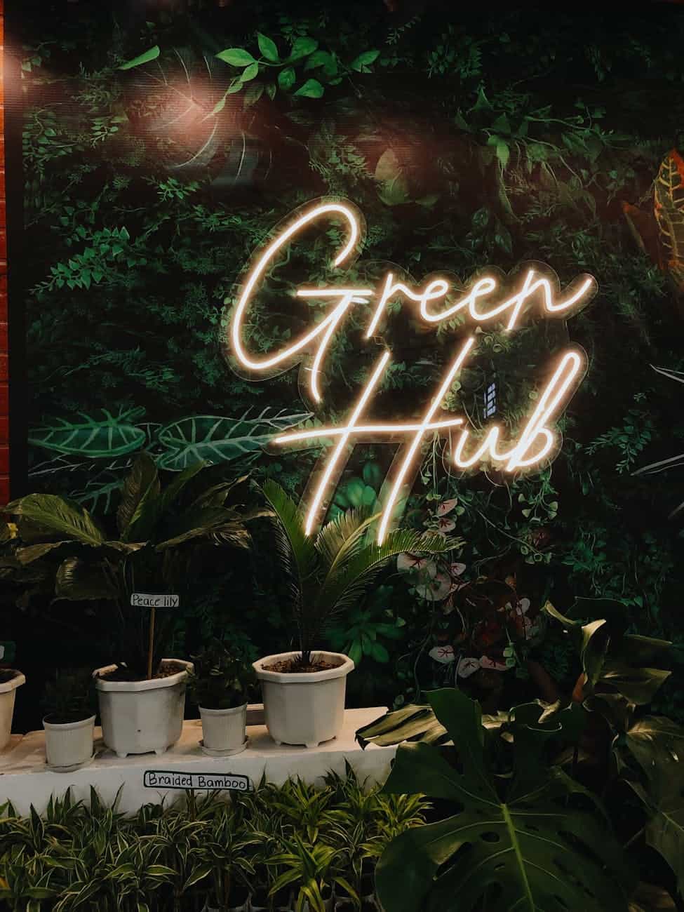 pexels-photo-11889954 - 360 Marketing Consultancy – Marketing Strategy & Architecture for SMEs How to Create a Start Up Business in 9 Easy Steps - Business Name