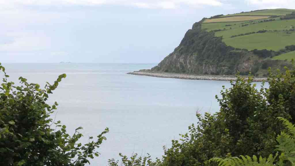 market research - Glenarm Organic Salmon