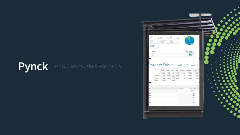 Marketing project - Pynck - 360 Marketing